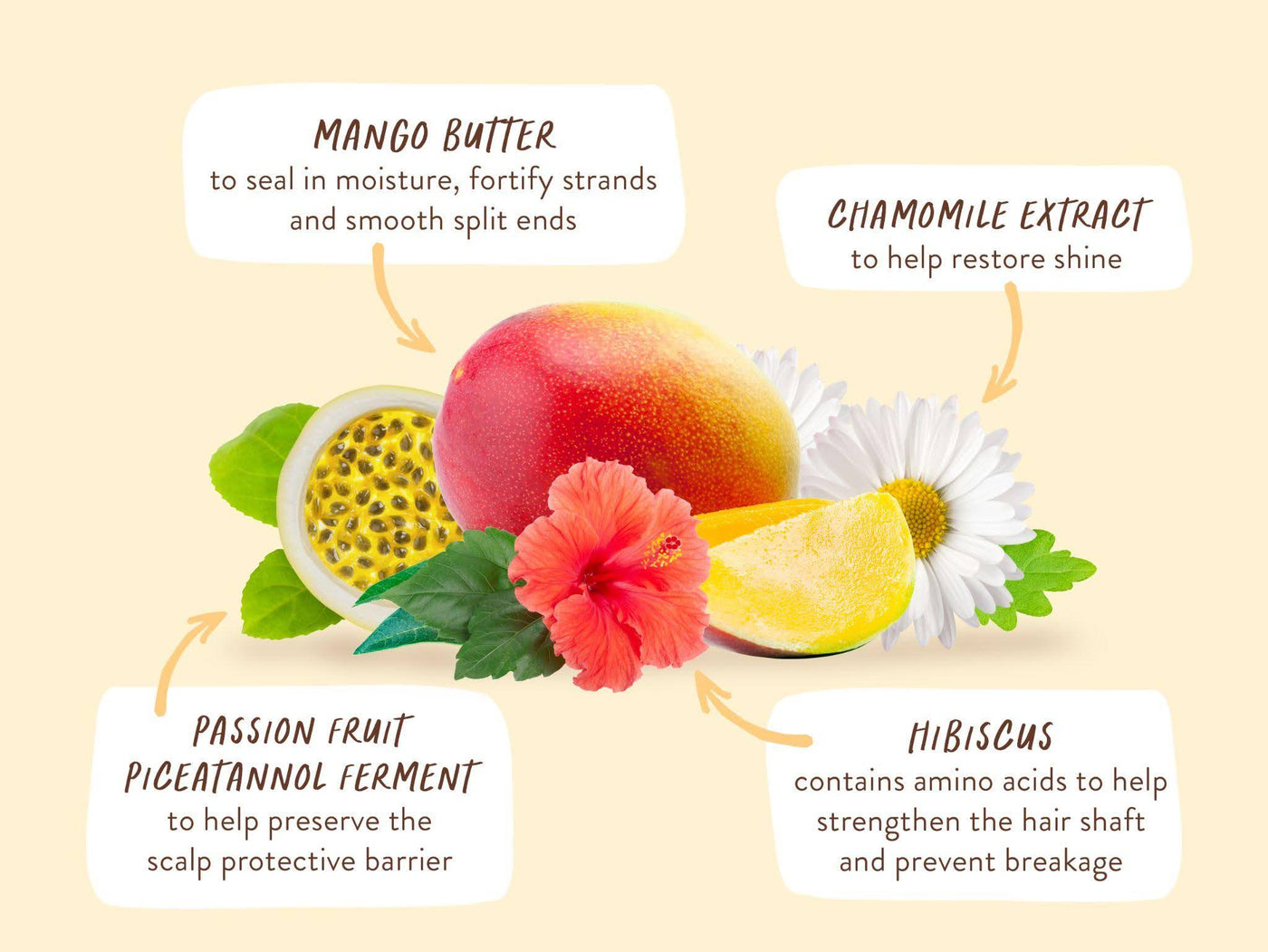 Babo Botanicals- Mango Butter to seal in moisture, fortify strands and smooth split ends. Hibiscus contains amino acids to help restore shine. Passion fruit Piceatannol ferment to help preserve the scalp protective barrier. Chamomile Extract to help restore shine